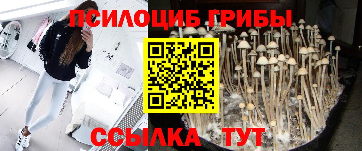 Псилоцибиновые грибы Magic Shrooms  Галлюциногенные грибы ЛСД  Коломна  Вход с VPN 