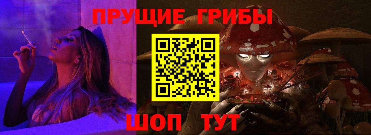 Псилоцибиновые грибы Psilocybine cubensis Коломна